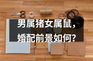男属猪女属鼠，婚配前景如何？