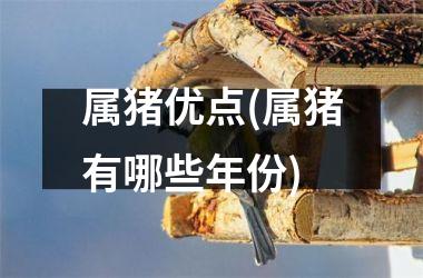 属猪优点(属猪有哪些年份)