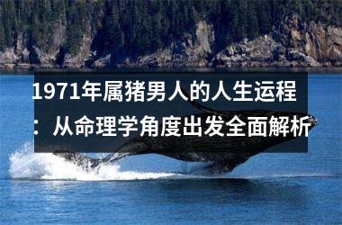1971年属猪男人的人生运程：从命理学角度出发全面解析
