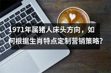 1971年属猪人床头方向，如何根据生肖特点定制营销策略？