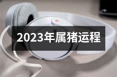 2025年属猪运程