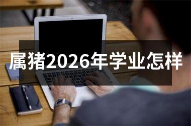 <h3>属猪2026年学业怎样