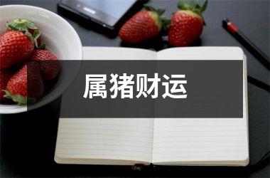 属猪财运