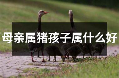 母亲属猪孩子属什么好