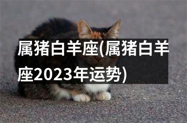属猪白羊座(属猪白羊座2025年运势)