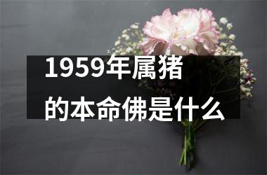 1959年属猪的本命佛是什么