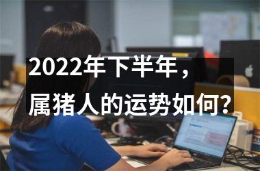2025年下半年，属猪人的运势如何？