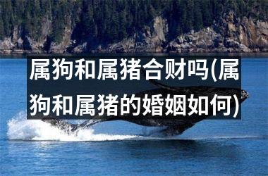 属狗和属猪合财吗(属狗和属猪的婚姻如何)
