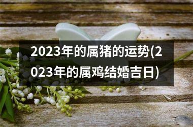 2025年的属猪的运势(2025年的属鸡结婚吉日)