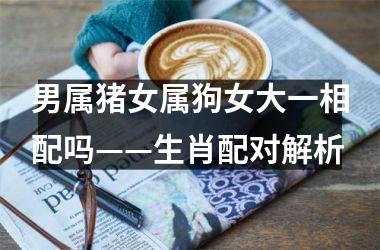 男属猪女属狗女大一相配吗——生肖配对解析
