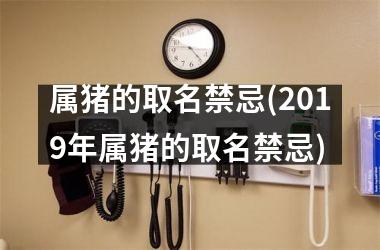 属猪的取名禁忌(2019年属猪的取名禁忌)
