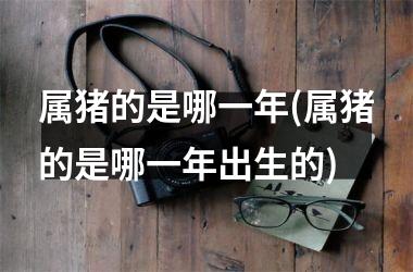 属猪的是哪一年(属猪的是哪一年出生的)