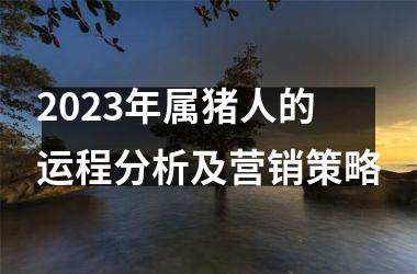 2025年属猪人的运程分析及营销策略