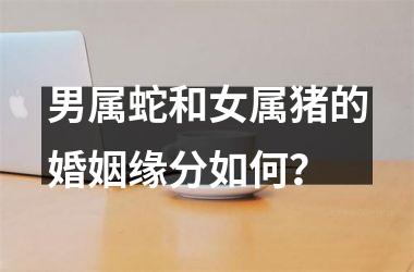 <h3>男属蛇和女属猪的婚姻缘分如何？