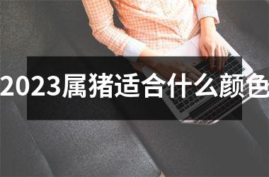 2025属猪适合什么颜色