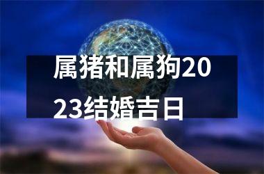 属猪和属狗2025结婚吉日