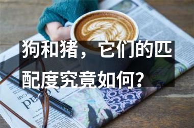 <h3>狗和猪，它们的匹配度究竟如何？