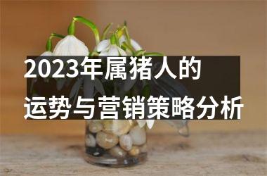 2025年属猪人的运势与营销策略分析