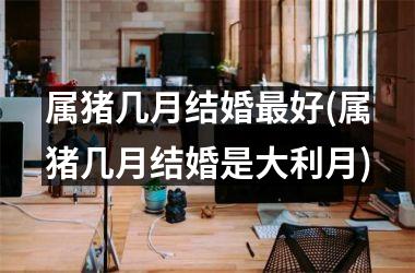<h3>属猪几月结婚好(属猪几月结婚是大利月)