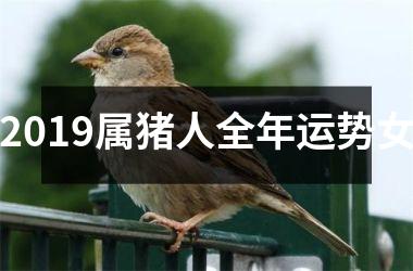 2019属猪人全年运势女