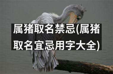 属猪取名禁忌(属猪取名宜忌用字大全)
