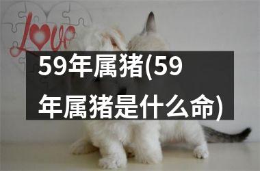 59年属猪(59年属猪是什么命)