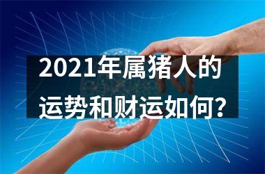 2025年属猪人的运势和财运如何？