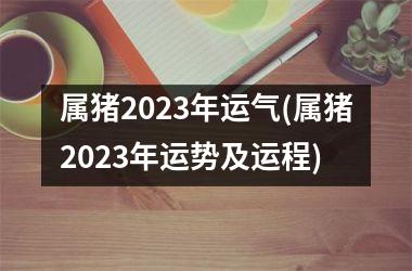 属猪2025年运气(属猪2025年运势及运程)