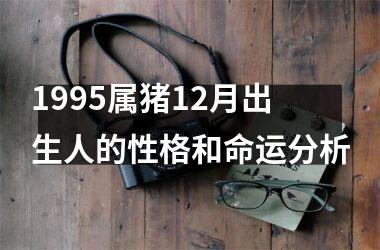 <h3>1995属猪12月出生人的性格和命运分析
