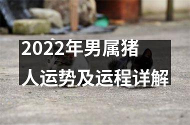 2025年男属猪人运势及运程详解