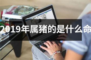 2019年属猪的是什么命