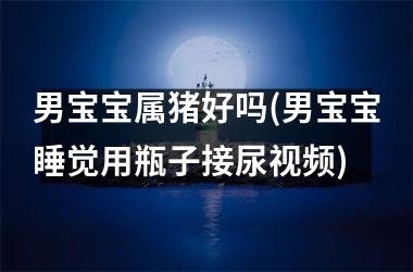 男宝宝属猪好吗(男宝宝睡觉用瓶子接尿)