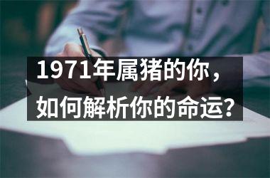 1971年属猪的你，如何解析你的命运？