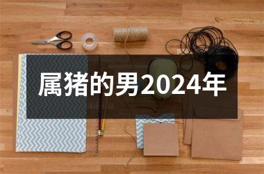 属猪的男2024年