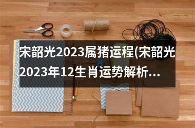 宋韶光2025属猪运程(宋韶光2025年12生肖运势解析完整版)