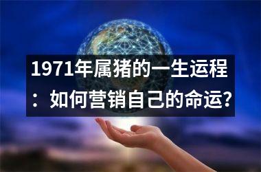 1971年属猪的一生运程：如何营销自己的命运？