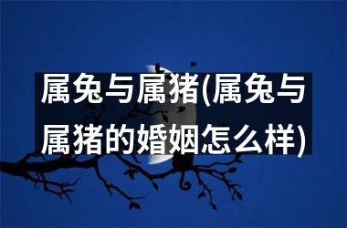 属兔与属猪(属兔与属猪的婚姻怎么样)