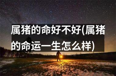 属猪的命好不好(属猪的命运一生怎么样)