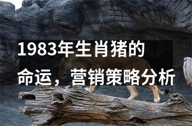 1983年生肖猪的命运，营销策略分析