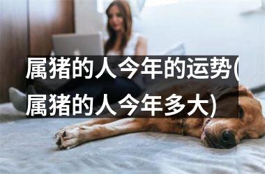 属猪的人今年的运势(属猪的人今年多大)