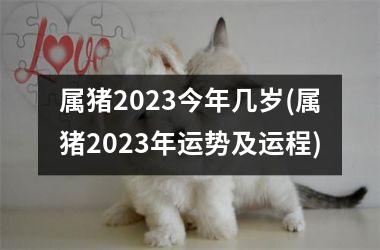 属猪2025今年几岁(属猪2025年运势及运程)
