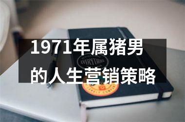 1971年属猪男的人生营销策略