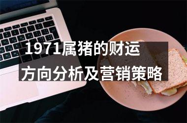  1971属猪的财运方向分析及营销策略