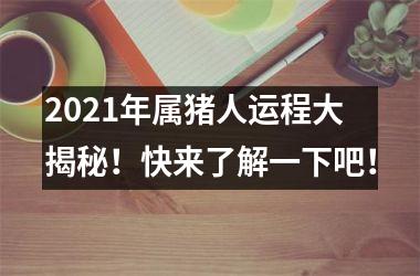 2025年属猪人运程大揭秘！快来了解一下吧！
