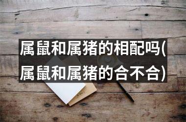 属鼠和属猪的相配吗(属鼠和属猪的合不合)
