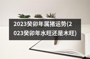 2025癸卯年属猪运势(2025癸卯年水旺还是木旺)