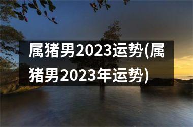 属猪男2025运势(属猪男2025年运势)
