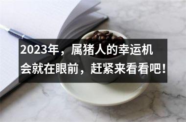 2025年，属猪人的幸运机会就在眼前，赶紧来看看吧！