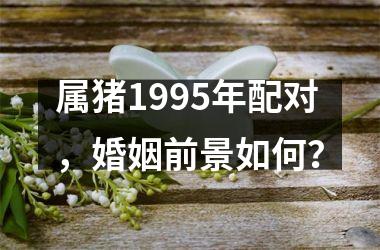 属猪1995年配对，婚姻前景如何？
