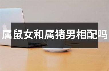 属鼠女和属猪男相配吗